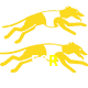 58R